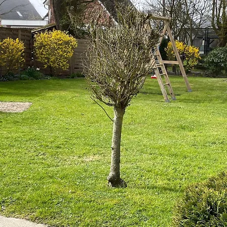 Lägenhet Feriengarten-buesum-e11 Büsum